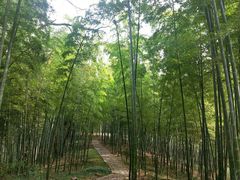 -采石矶景区