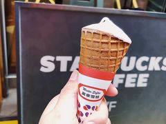 -富豪雪糕车流动点(尖沙咀店)