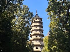 -灵谷景区