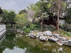 -顺峰山公园