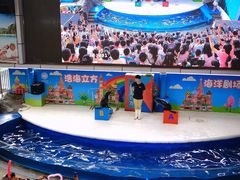 -成都浩海立方海洋公园