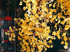 -不二茶空间·养生宴(石景山店)