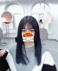 -蚂蚁造型俱乐部
