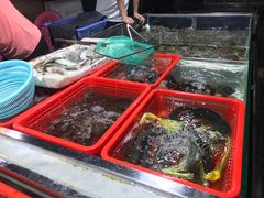-都斛海鲜街