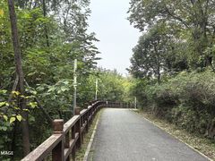 -白鹭湾湿地公园