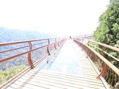 -少华山国家森林公园