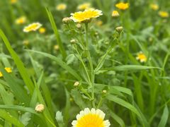 -上海市松江华阳敬老院