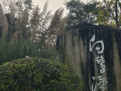 -白鹭湾湿地公园