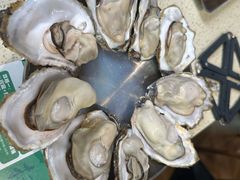 -蚝堡·生蚝海鲜烧烤物种起源•海肠捞饭(刘公岛店)