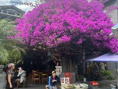 -海韵人家.海景花园经典云南菜(双廊店)