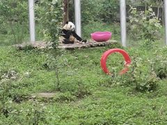 -西安秦岭野生动物园