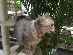 -小时光咖啡馆(开森度假森林店)