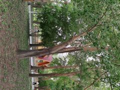 -长春公园(普阳街道)