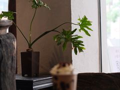 -成川茶店·潮汕工夫浓茶(万象店)