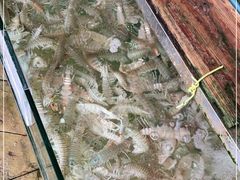 -钱大妈海鲜饭店(保利林语店)