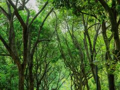 -燕晗山郊野公园