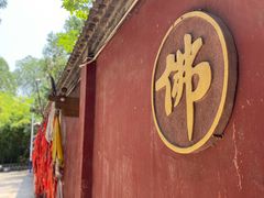 -兴教寺