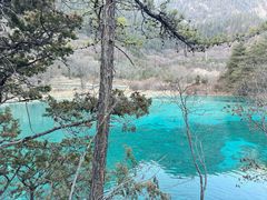 -九寨沟-树正沟