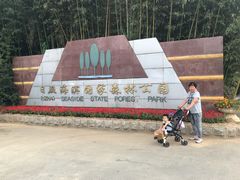 -日照海滨国家森林公园