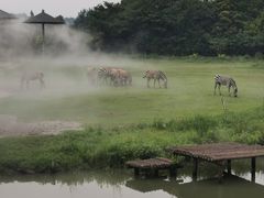 -宁波野生动物园