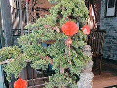-湊湊火锅·茶憩(东城万达店)