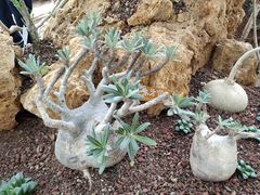 -南通洲际绿博园