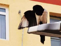 -七里庄(地铁站)