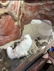 -Zoolung Zoolung动物主题公园(海信广场店)