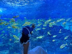 -海合安成都极地海洋公园
