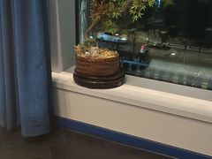 -湘上湘(米其林餐厅-正大中心总店)