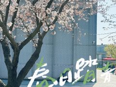 -龙美术馆(西岸馆)