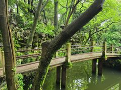 -绮园景区