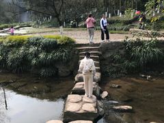 -重庆彩云湖湿地公园