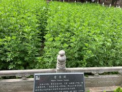 -汤阴县羑里周易博物馆