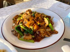 肉片平菇-金蝉食府(维吉奥广场店)