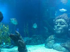 -暹罗海洋世界