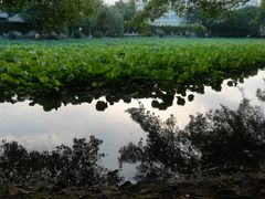 -西南交通大学(九里校区)