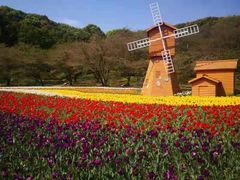 -苏州上方山国家森林公园