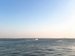 -渔娘蟹庄(阳澄湖莲花岛店)