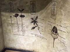 -星巴克臻选(湖滨道店)