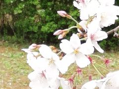 -江南大学(蠡湖校区)