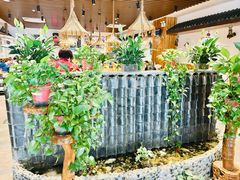 -滇香肴·云南菜蒸汽石锅鱼(云南北路店)