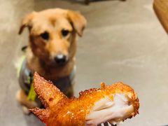 -Cactus墨西哥仙人掌餐厅