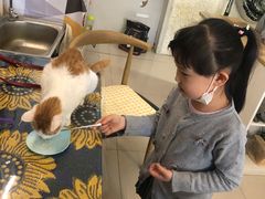 -平行世界·猫咖(首经贸店)