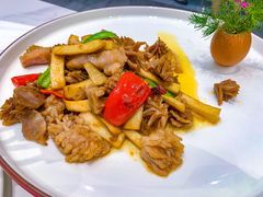 -丁老爷子苏香圆