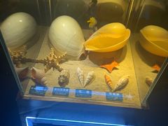 -梦幻海洋王国(吾悦广场张家港店)