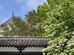 -大明寺素斋