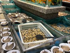 -初色海鲜自助(万丰路店)