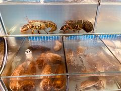 -蟹谢蒸鲜自助餐厅