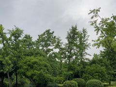 -尚贤河湿地